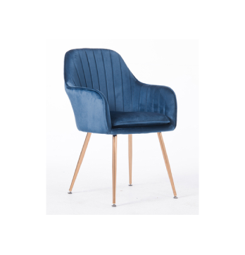 Europe luxury velvet fabric modern dining chair/DN-013
