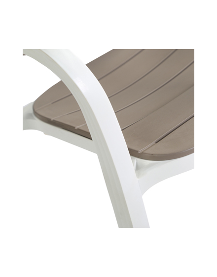 Plastic Armrest Dining Chair/PP-641