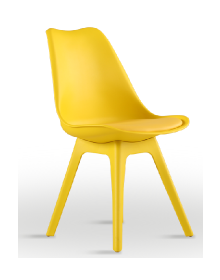 Plastic European Dining Chair /2501-4